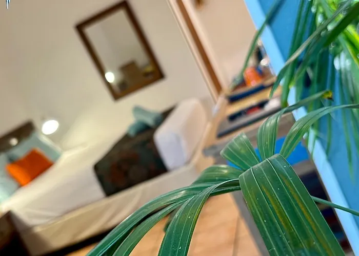 Rainforest Motel