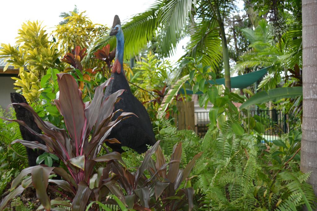 Rainforest