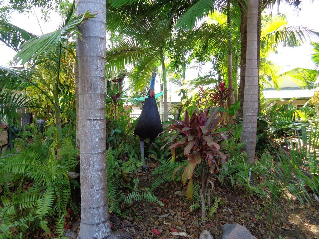 Motel Rainforest 3*