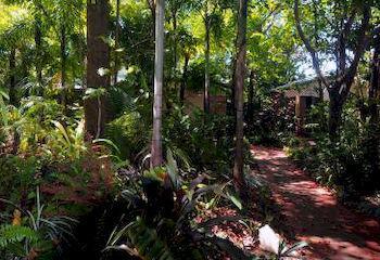 Motel Rainforest