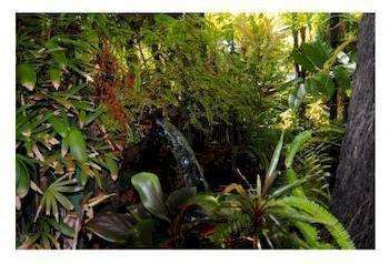 Rainforest Motel Mission Beach