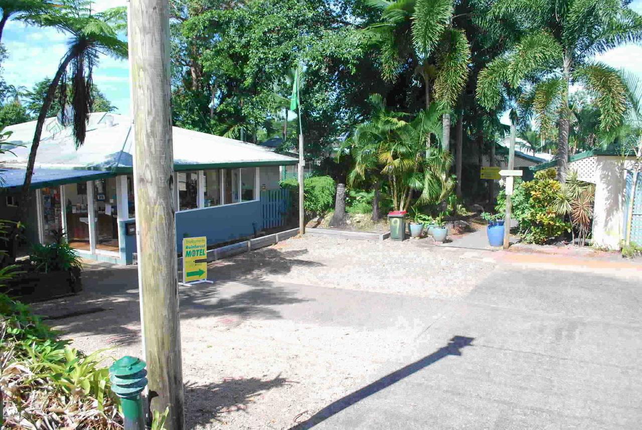 Rainforest
